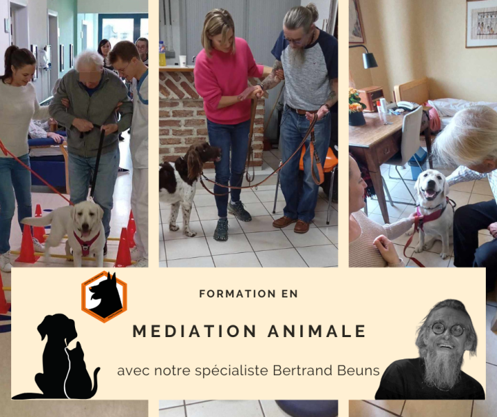 Blanc casse Minimaliste Moderne Montage Publication Facebook