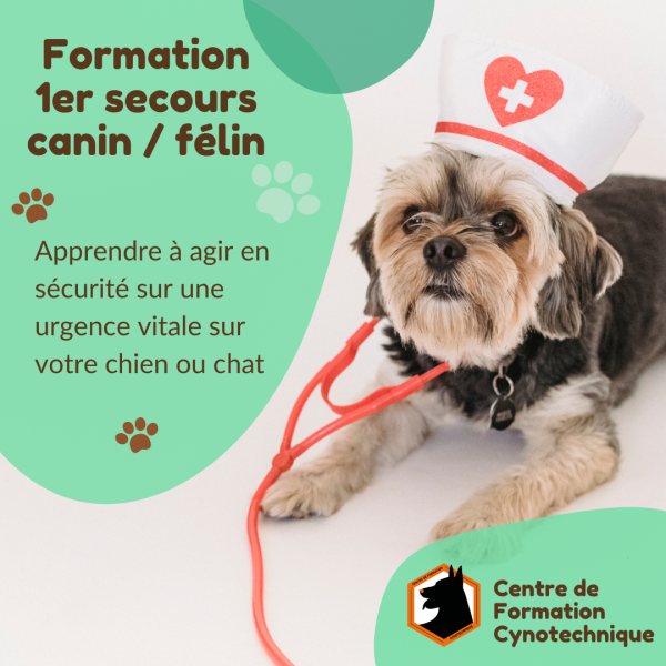 formation secourisme